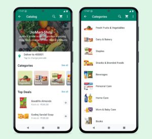 Social commerce platforms including Meesho, WhatsApp Business, and Instagram Shopping used by Indian consumers.