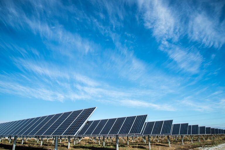 Renewable Energy Startups: 15 Companies Powering the Future in 2026